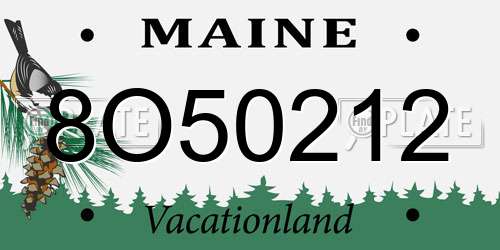 8O50212 Maine License Plate