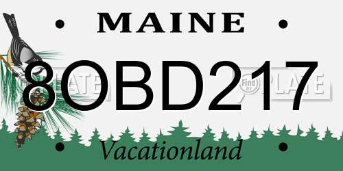 8OBD217 Maine License Plate