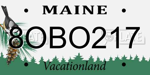 8OBO217 Maine License Plate