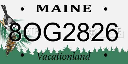 8OG2826 Maine License Plate