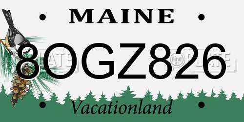 8OGZ826 Maine License Plate
