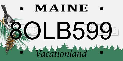 8OLB599 Maine License Plate