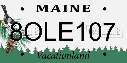 8OLE107 Maine License Plate