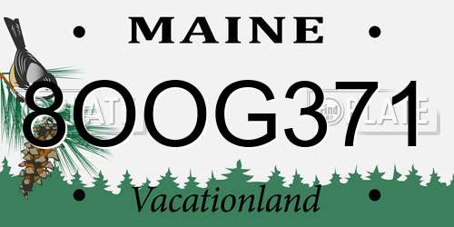 8OOG371 Maine License Plate