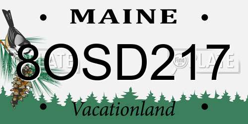 8OSD217 Maine License Plate