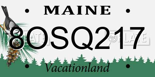 8OSQ217 Maine License Plate