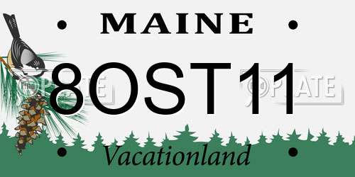 8OST11 Maine License Plate