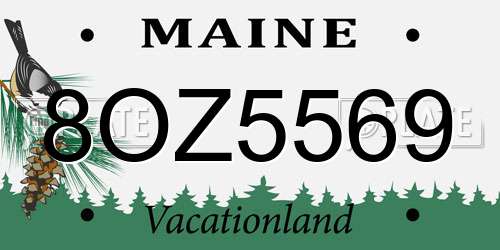 8OZ5569 Maine License Plate