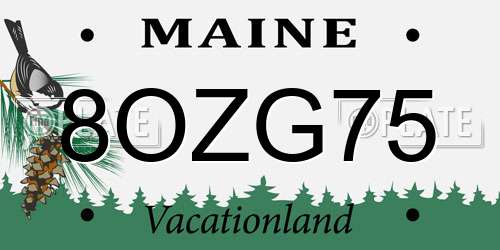 8OZG75 Maine License Plate