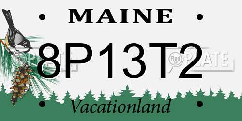 8P13T2 Maine License Plate