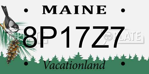 8P17Z7 Maine License Plate
