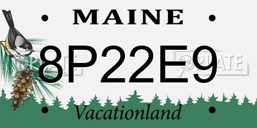 8P22E9 Maine License Plate