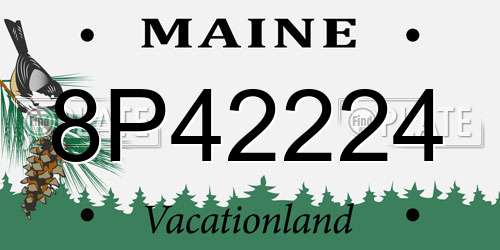 8P42224 Maine License Plate