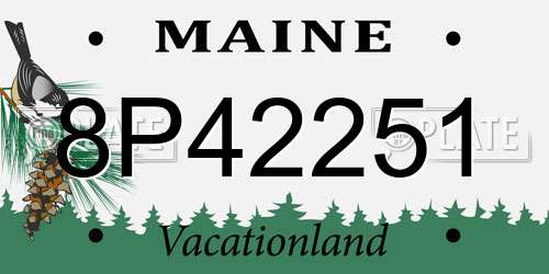 8P42251 Maine License Plate