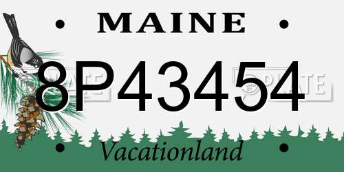 8P43454 Maine License Plate