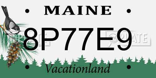 8P77E9 Maine License Plate