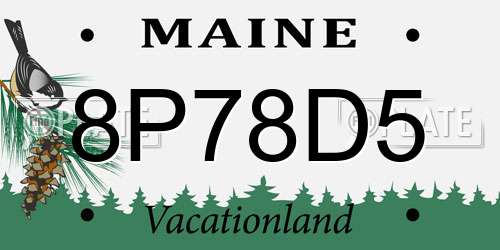 8P78D5 Maine License Plate