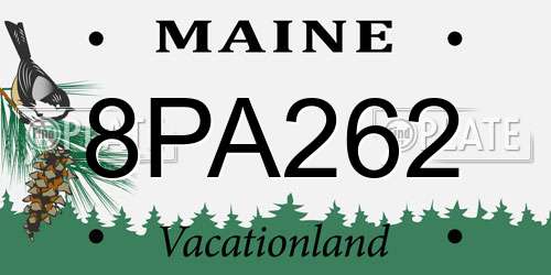 8PA262 Maine License Plate