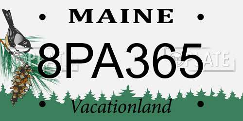8PA365 Maine License Plate