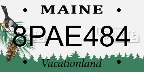8PAE484 Maine License Plate
