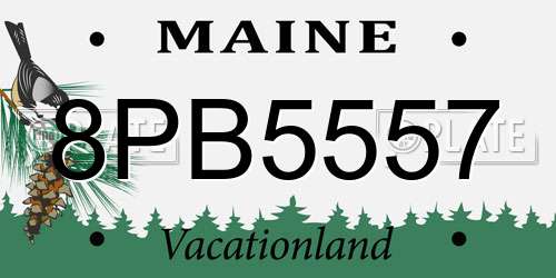 8PB5557 Maine License Plate