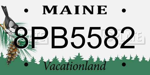 8PB5582 Maine License Plate