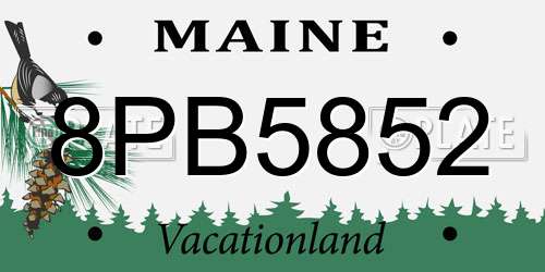 8PB5852 Maine License Plate