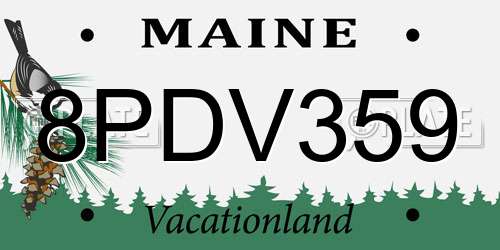 8PDV359 Maine License Plate