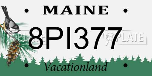 8PI377 Maine License Plate