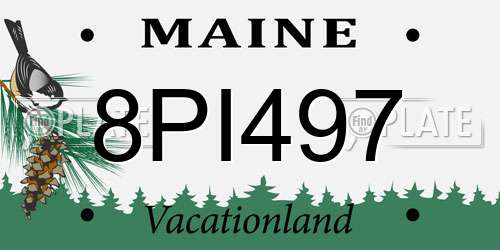 8PI497 Maine License Plate