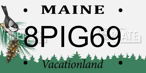 8PIG69 Maine License Plate