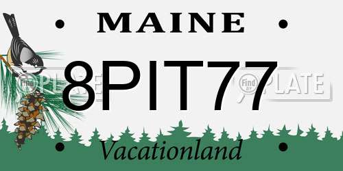 8PIT77 Maine License Plate