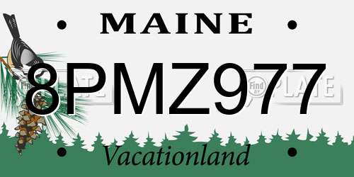 8PMZ977 Maine License Plate