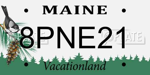 8PNE21 Maine License Plate