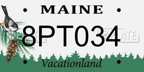 8PT034 Maine License Plate