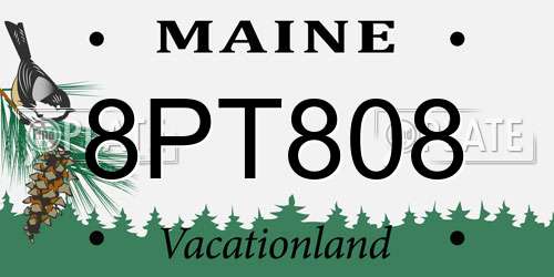 8PT808 Maine License Plate