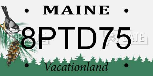 8PTD75 Maine License Plate