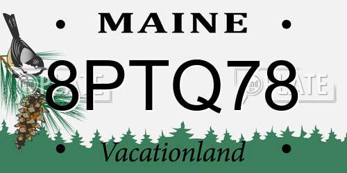 8PTQ78 Maine License Plate