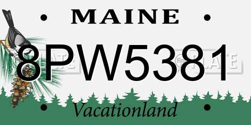 8PW5381 Maine License Plate