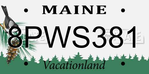 8PWS381 Maine License Plate