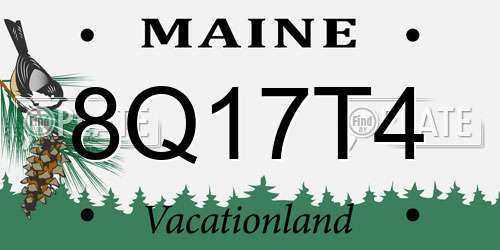 8Q17T4 Maine License Plate