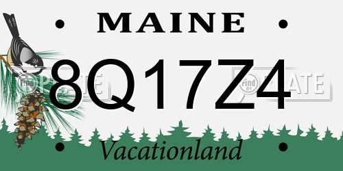 8Q17Z4 Maine License Plate