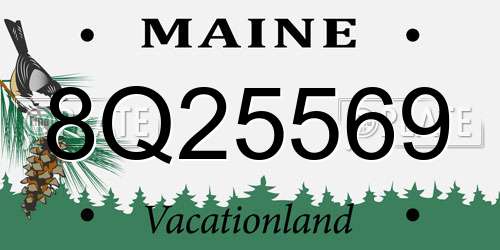 8Q25569 Maine License Plate