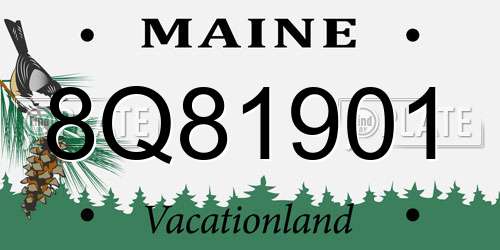 8Q81901 Maine License Plate