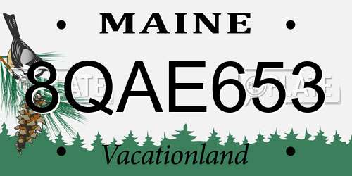 8QAE653 Maine License Plate