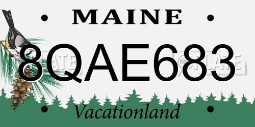8QAE683 Maine License Plate