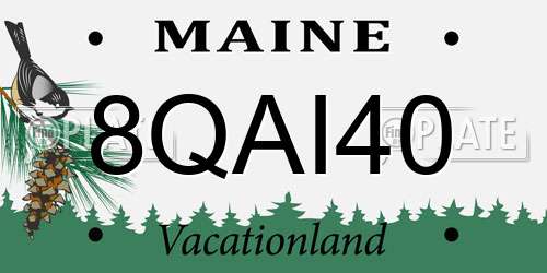 8QAI40 Maine License Plate