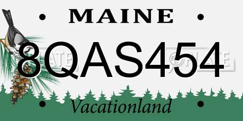 8QAS454 Maine License Plate