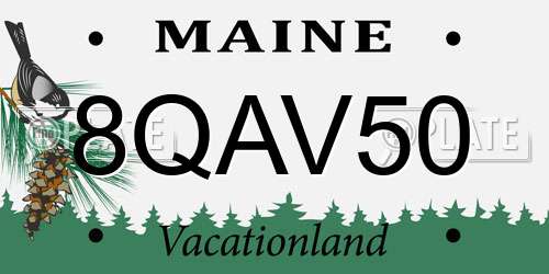 8QAV50 Maine License Plate