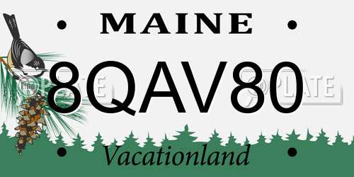 8QAV80 Maine License Plate